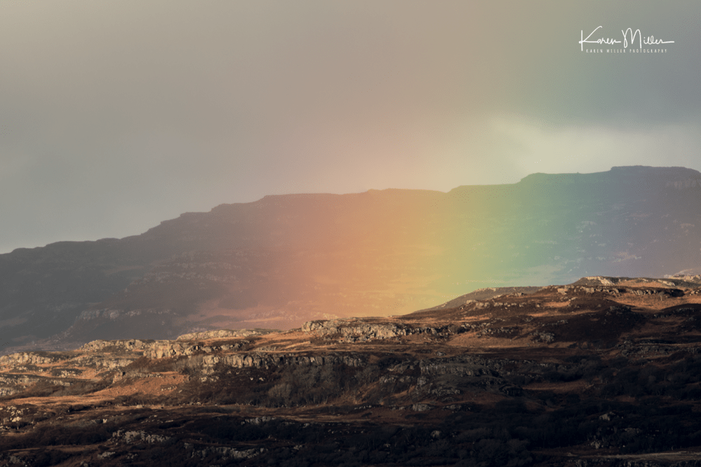 otters_thursday_png_c-2375