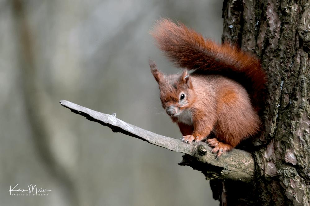 EskriggReserve0118-png_c_8845