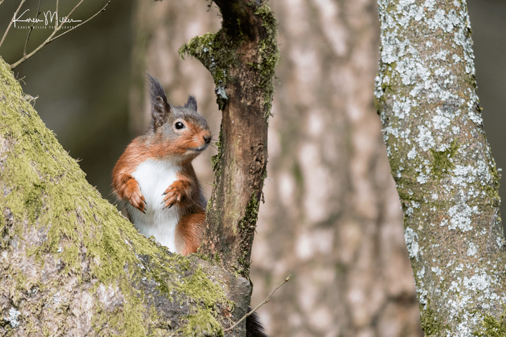 EskriggReserve0118-png_c_9078