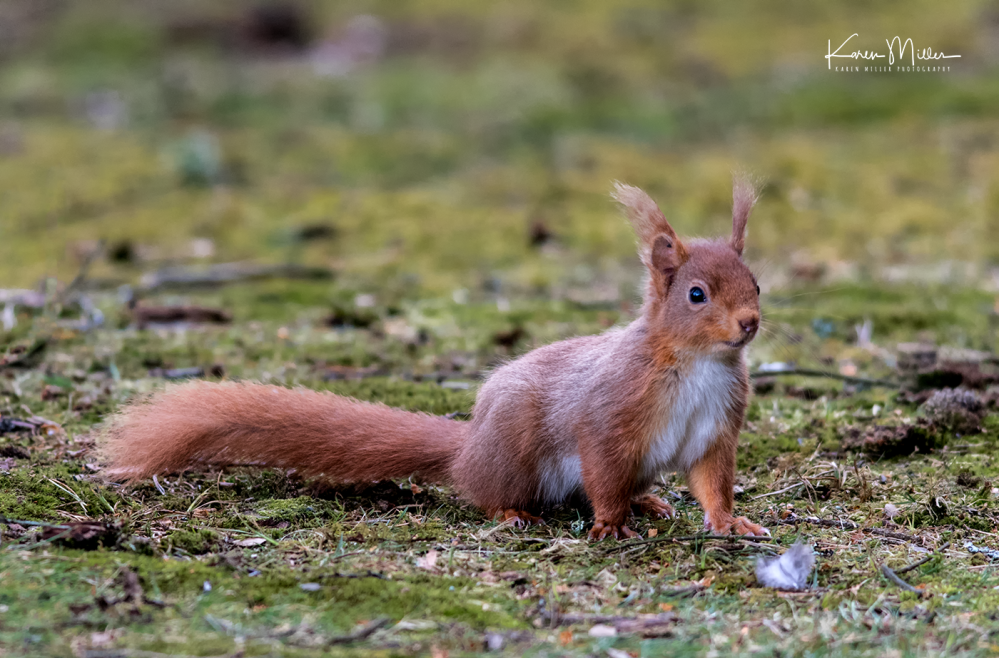 EskriggReserve0118-png_c_9226