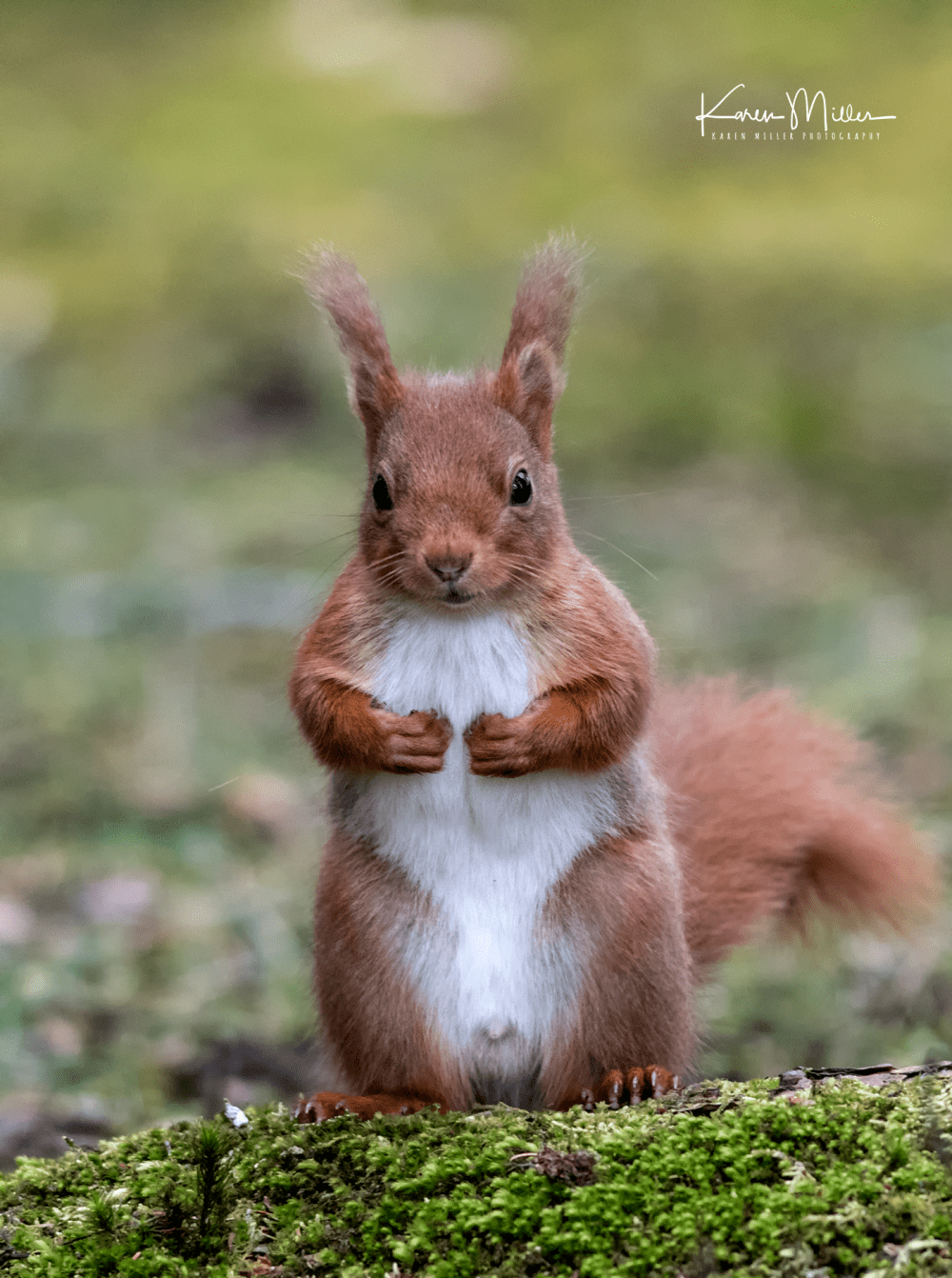 EskriggReserve0118-png_c_9265