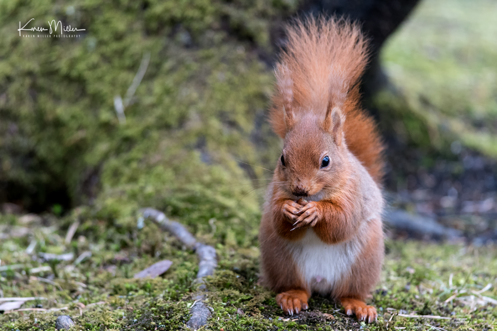 EskriggReserve0118-png_c_9372