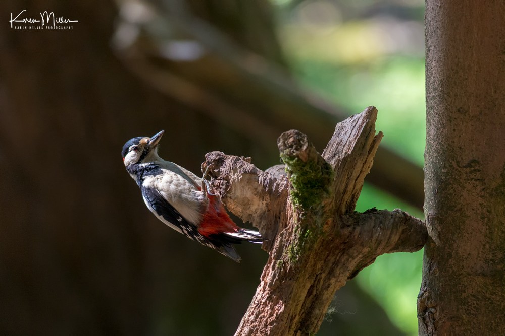 ArgatyMay2018-jpg_c_2252