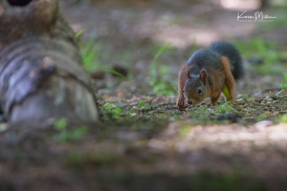 ArgatyMay2018-jpg_c_2307