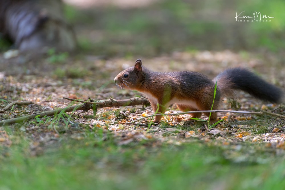 ArgatyMay2018-jpg_c_2316