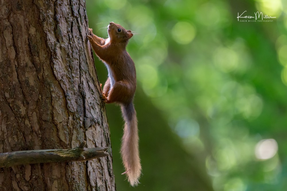 ArgatyMay2018-jpg_c_2383