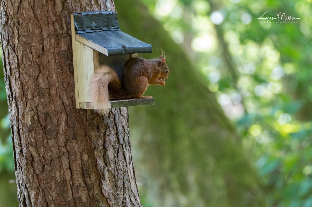 ArgatyMay2018-jpg_c_5798