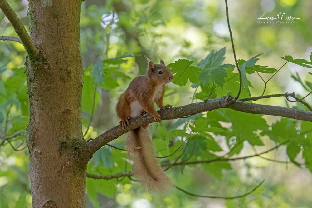 ArgatyMay2018-jpg_c_5800