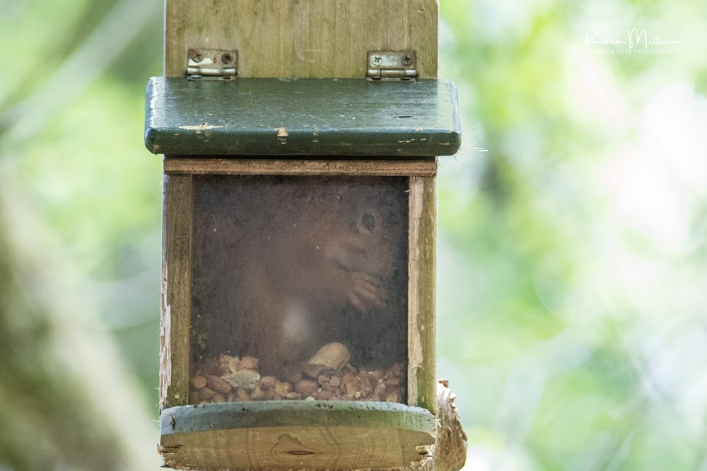 ArgatyMay2018-jpg_c_5905