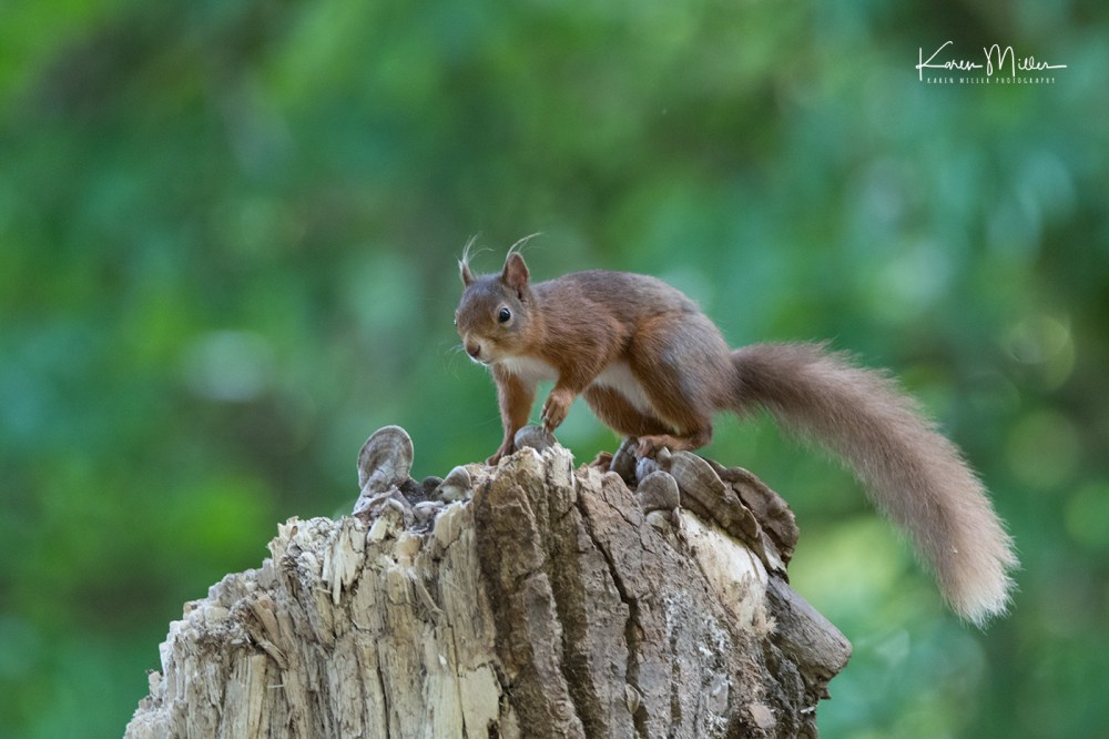 ArgatyMay2018-jpg_c_5914