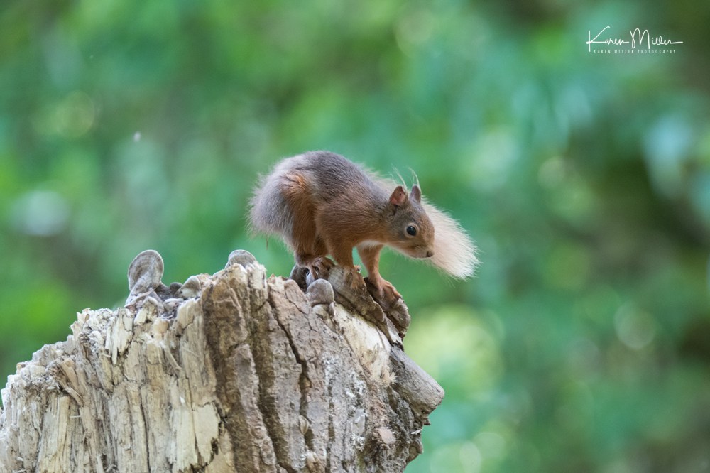 ArgatyMay2018-jpg_c_5916