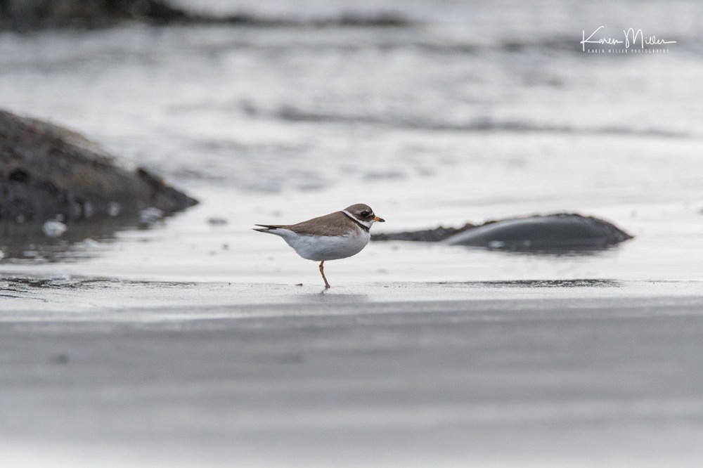 Mull_WedDay-jpg_c_3551