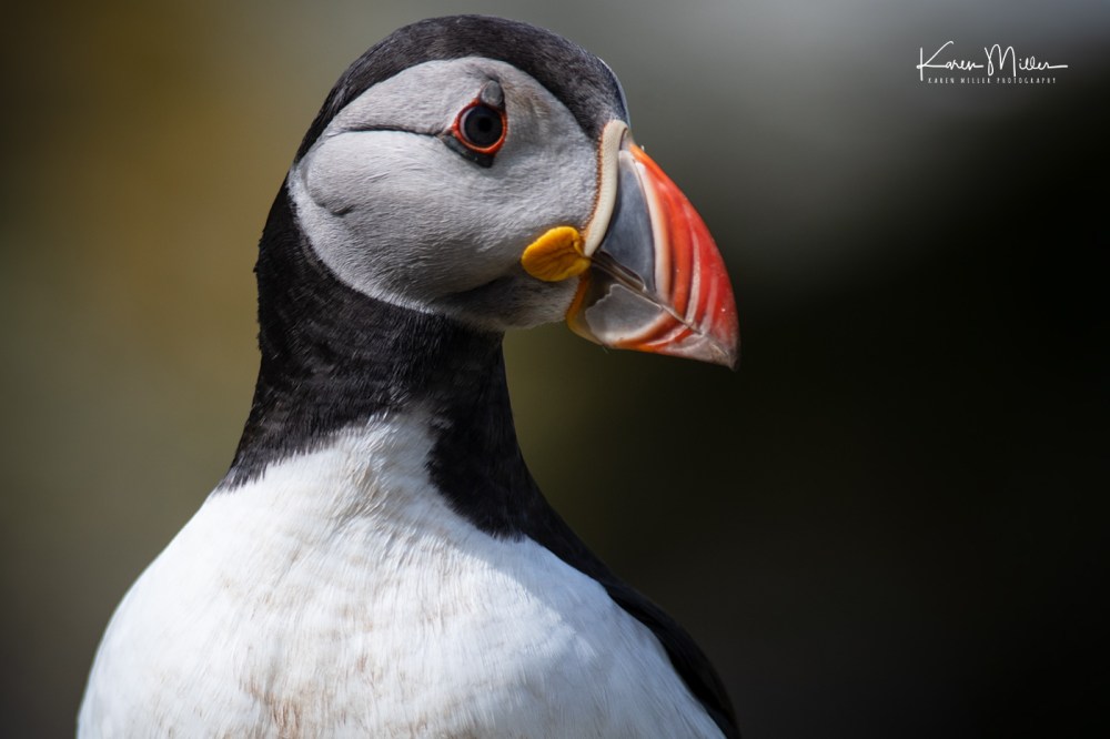 LungaJuly18-jpg_c_0672