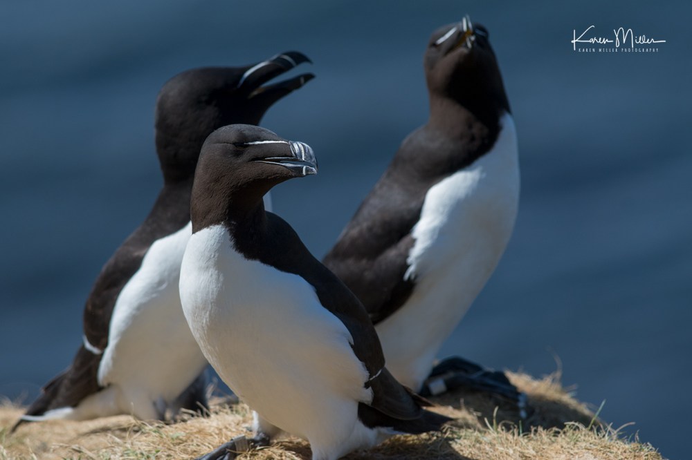 LungaJuly18-jpg_c_0808