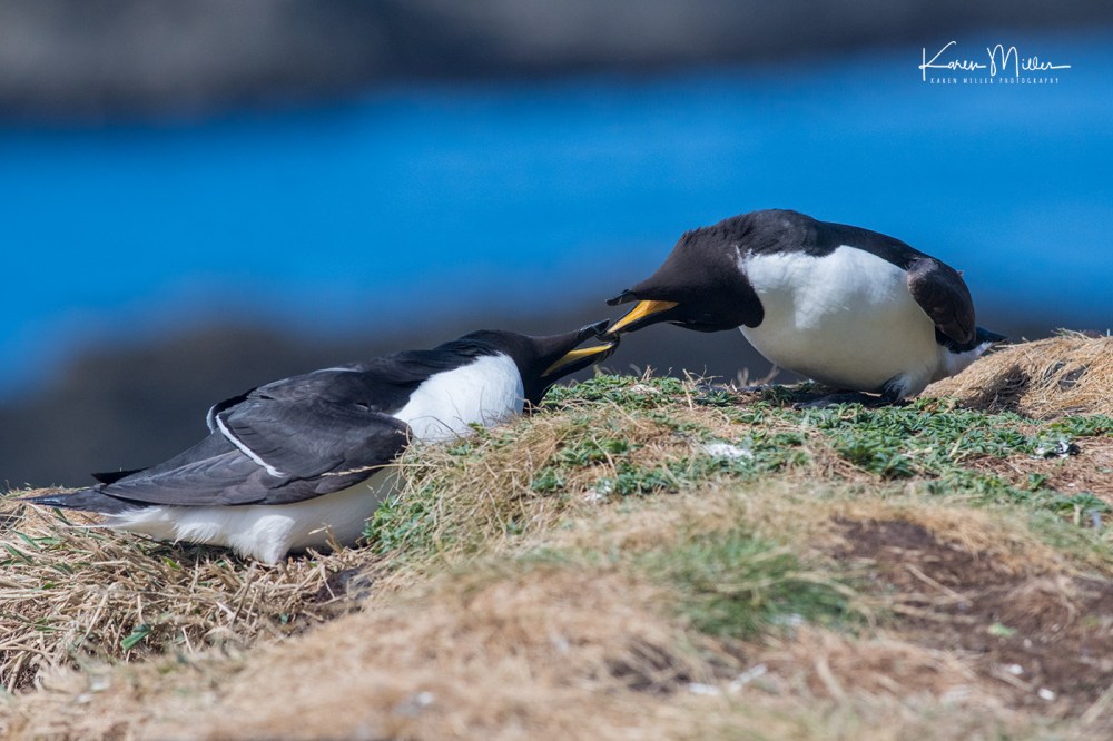 LungaJuly18-jpg_c_0857