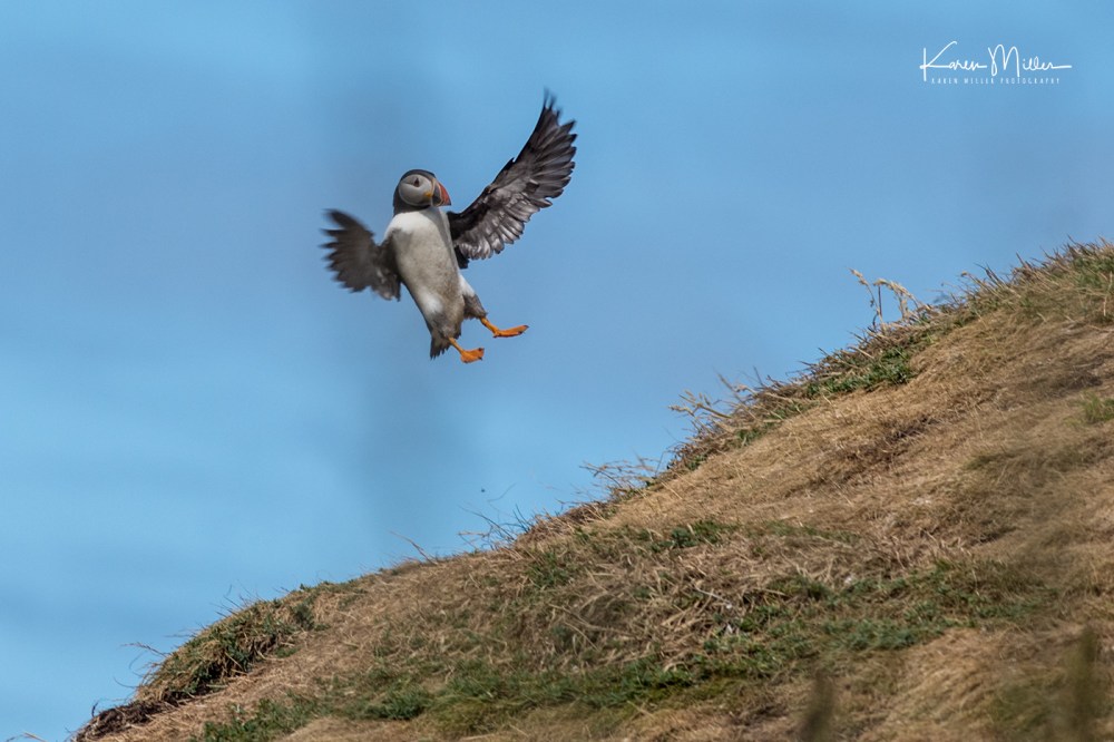 LungaJuly18-jpg_c_0879