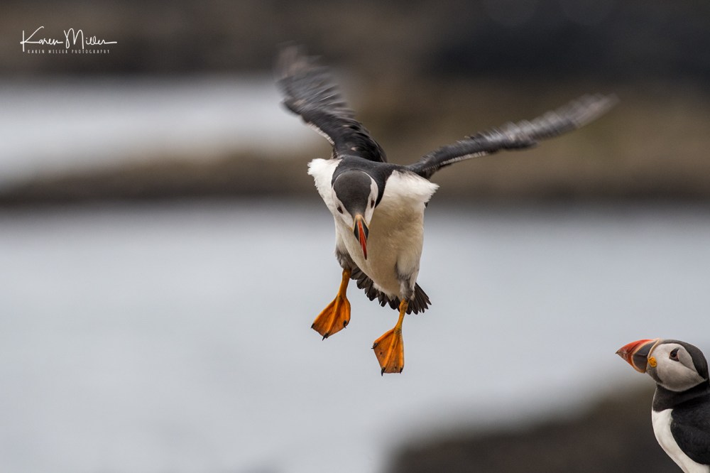 LungaJuly18-jpg_c_0966