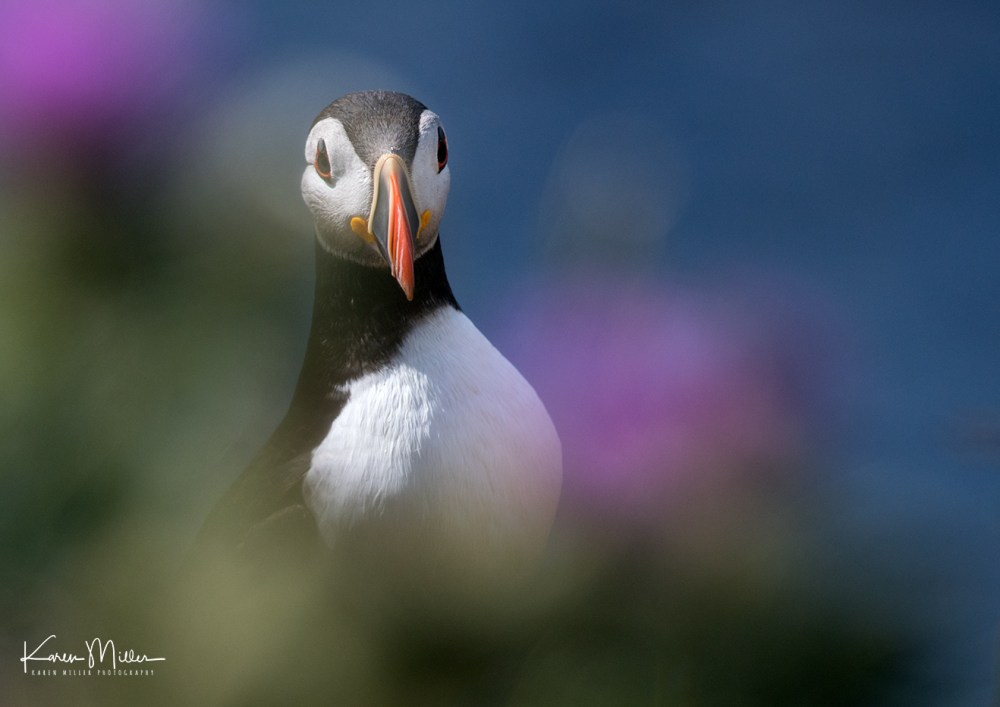 LungaJuly18-jpg_c_1190