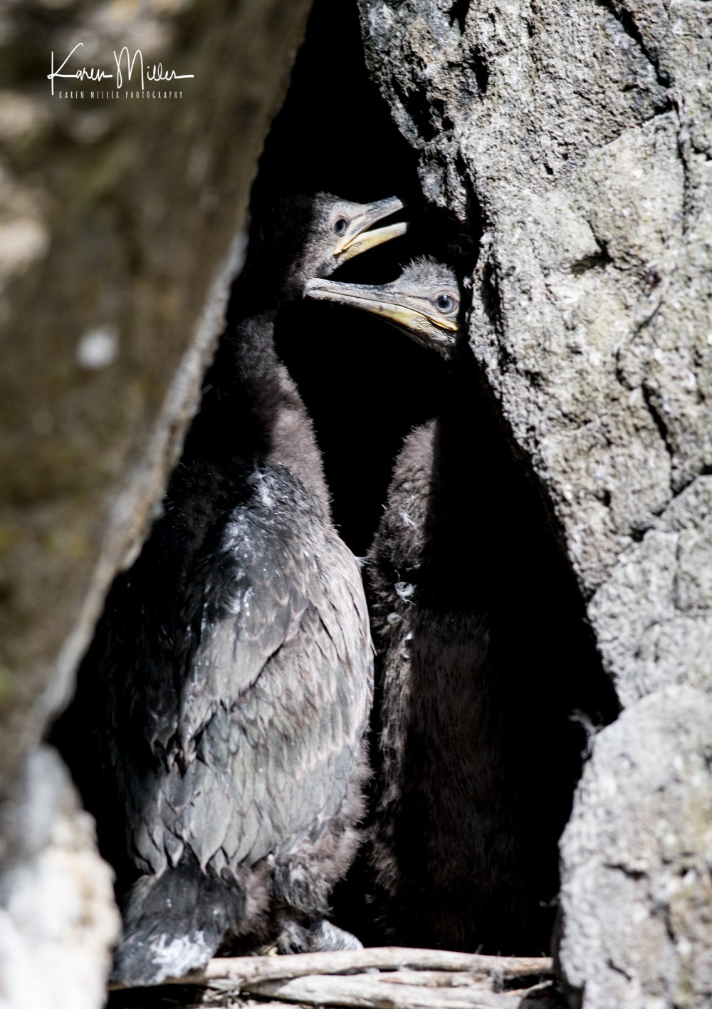 LungaJuly18-jpg_c_1239