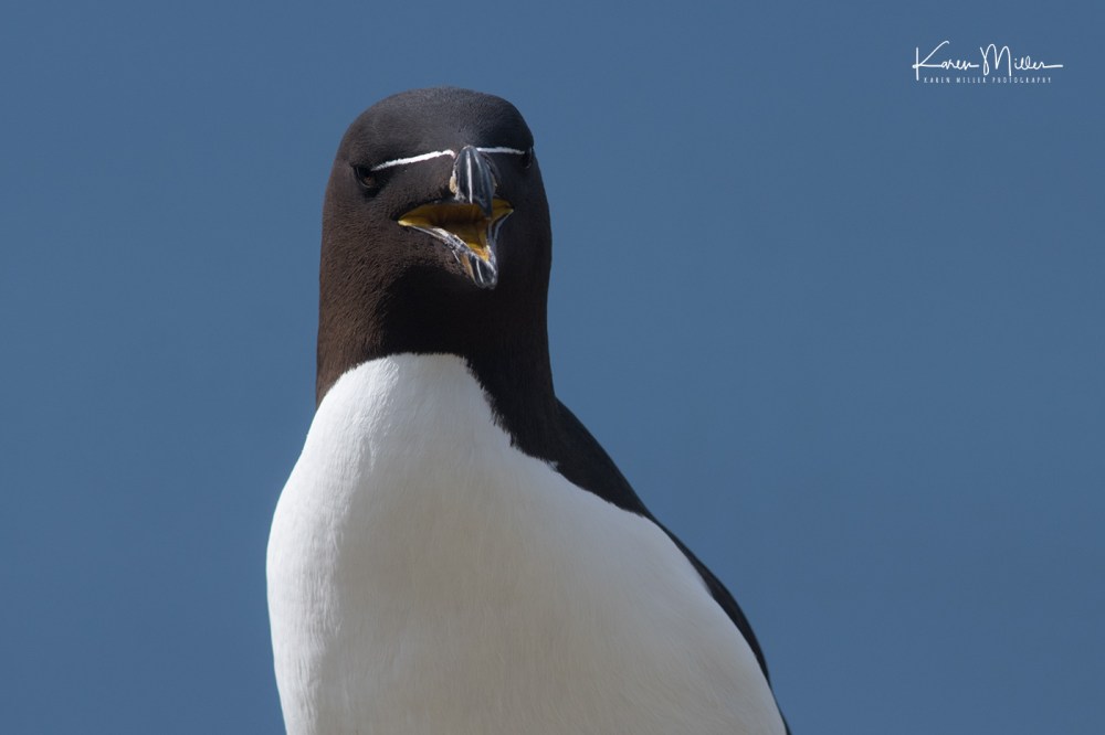 LungaJuly18-jpg_c_1265