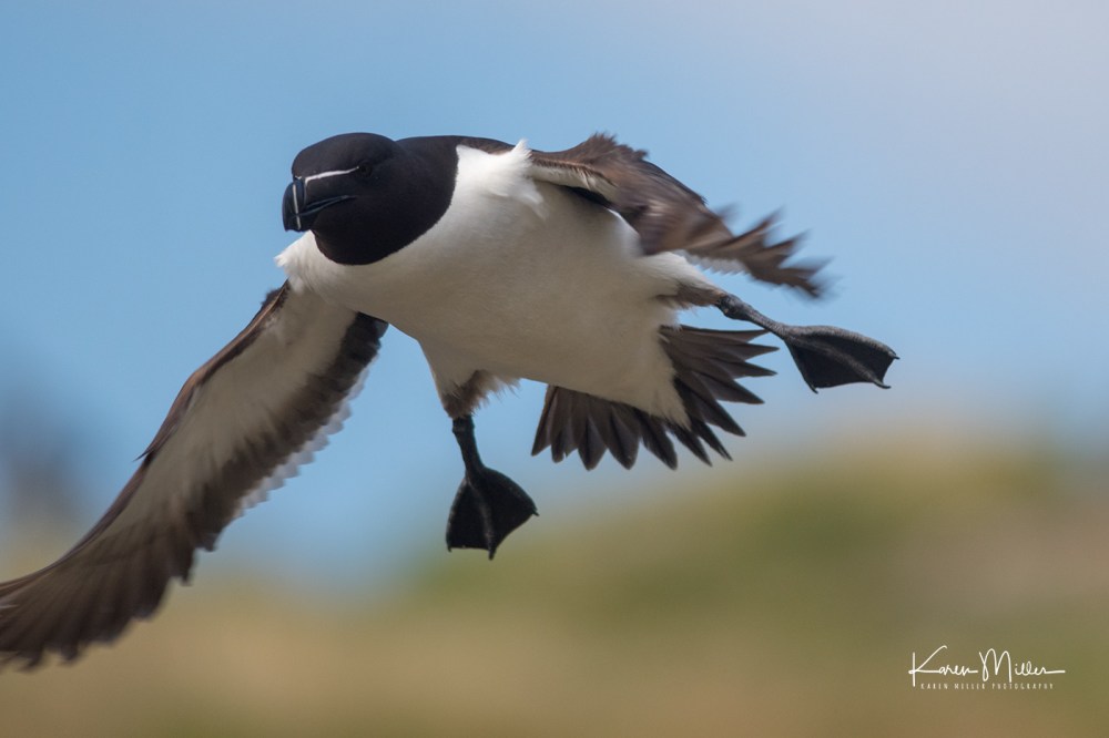 LungaJuly18-jpg_c_1403