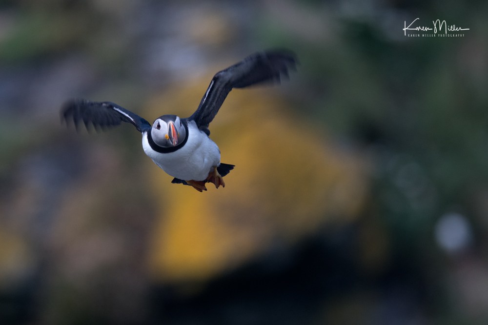 LungaJuly18-jpg_c_1486