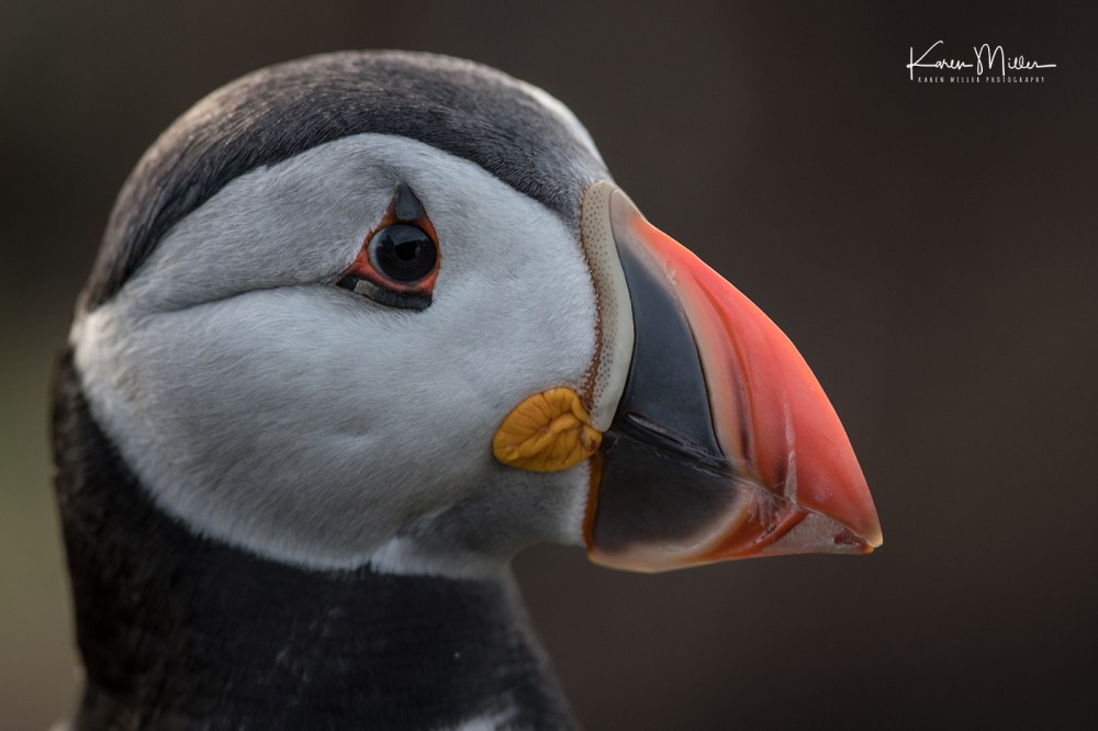 LungaJuly18-jpg_c_1900