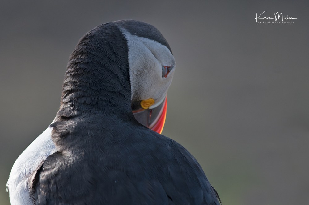 LungaJuly18-jpg_c_2001