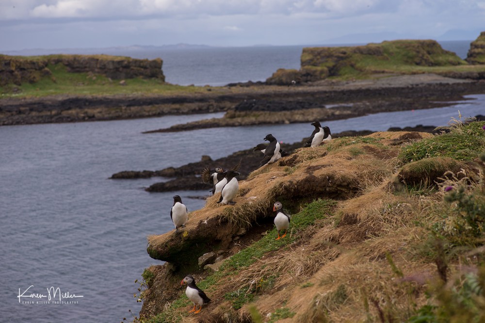 LungaJuly18-jpg_c_2982