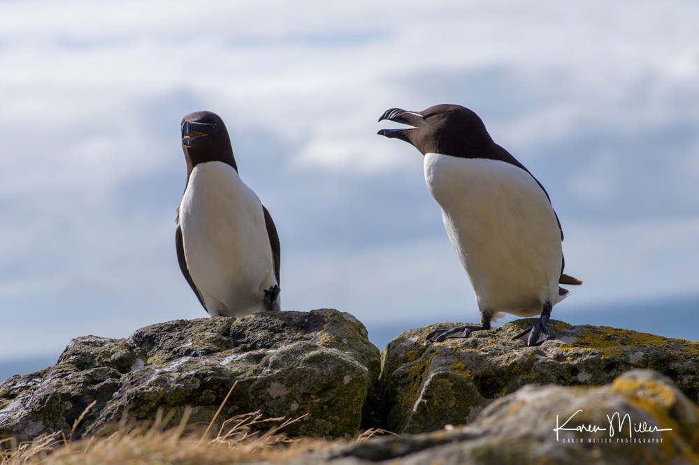 LungaJuly18-jpg_c_3140