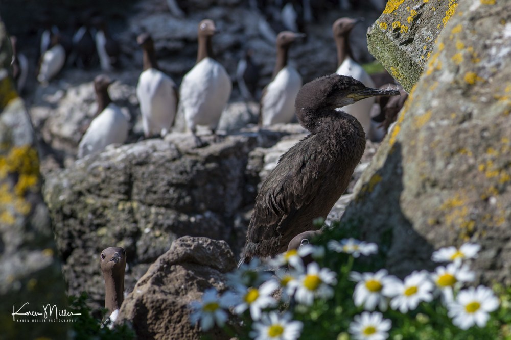 LungaJuly18-jpg_c_3198